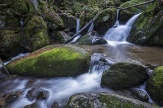 Gertelbach, Gertelbach Waterfalls, Gertelbach Falls, Gertelbach Gorge, Bühl, Bühlertal, Northern