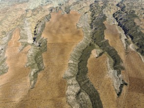 Canyons and gorges cut into the surrounding cultivated land, aerial view, drone shot, Gorafe