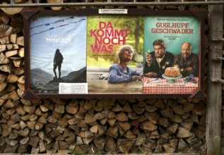 Old cinema advertisement hanging on wood pile, firewood, split, Swabian Forest, Baden-Württemberg,