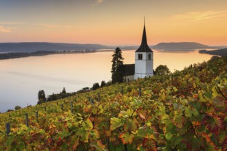 Ligerz on Lake Biel, Bern, Switzerland, Europe