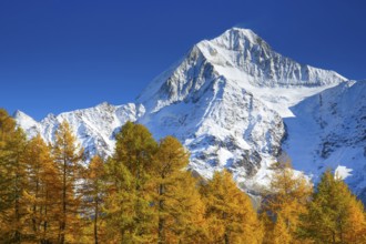 Bietschhorn, 3934m, Valais, Switzerland, Europe