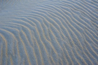 De Hors beach, near Den Hoorn, wave pattern in the sand, Texel island, North Holland, Netherlands