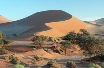 Sand Dunes, Soussusvlei, Namib Desert, Namibia, Africa