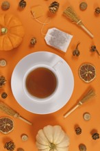 Tea cup surrounded by seasonal fall decoration like pumpkins and orange slices on orange background