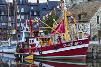 Decorated fishing boat Little China, harbour basin in the old town, Honfleur in the evening,