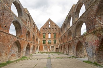 Monastery ruins, Bad Doberan, Mecklenburg-Western Pomerania, Germany, Europe