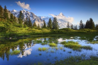 Eiger, Mönch, Bernese Oberland, Switzerland, Europe