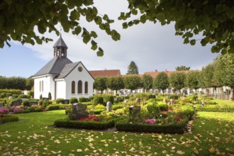 Fishing quarter Holm, cemetary, Schleswig, Schleswig-Holstein, Germany, Europe
