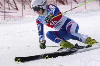 KAMCHATKA PENINSULA, RUSSIAN FEDERATION, APRIL 1, 2019: Mountain skier Darya Shustrova St.