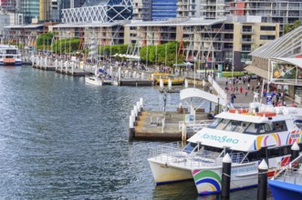 Aquarium Wharf next to the historic Pier 26 and in font of the Sea Life Sydney Aquarium in Darling