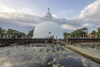 Landscape photography in a subtropical climate. Lagoon or marshland by a lake, evening shot with