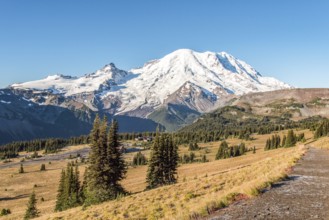 Cloudless view on Mt Rainier from Mt Fremont Lookout Trail, USA, North America