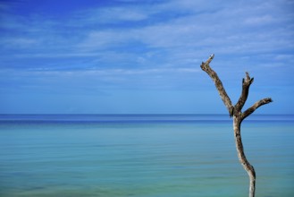 Holbox tropical Island in Quintana Roo of Mexico