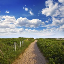 Cape Cod Herring Cove Beach in Massachusetts USA