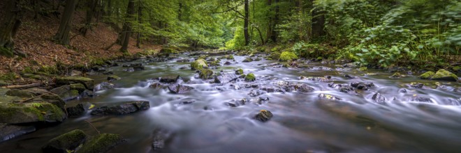River in the valley - the Löbau water in the Georgewitz scale 3