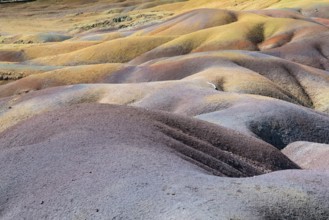 Seven Coloured Earth, 7th coloured earth, Minerals, Geopark, Terres des couleurs, Chamarel, Indian