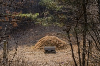 Daejeon, South Korea, April 05, 2019: Space between trees in forest opens to fresh burial mound in
