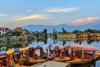 Houseboats and shikaras, Dal Lake, Srinagar, Kashmir, India, Asia