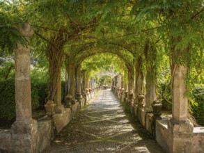 Pergola with lush green vegetation and columns lining a shady path, Jardines de Alfabia, Bunyola,