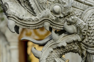 Chinese dragon on the roof, digital photo picture as a background