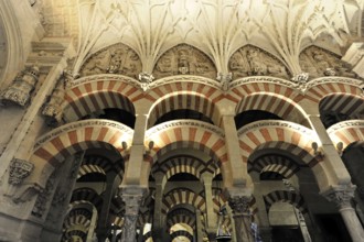 La Mezquita, Mosque, Cathedral of Cordoba, Cordoba, Andalusia, Spain, Europe, Interior view with
