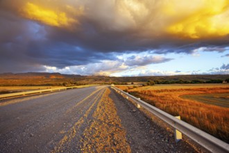 Gigantic scenic thundercloud permeated by lightning strikes and illuminated by the sunset. The