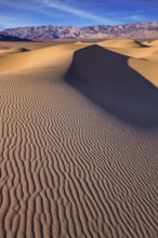 Bright solar morning in picturesque part of Death Valley. Slopes of sandy barkhans shine orange