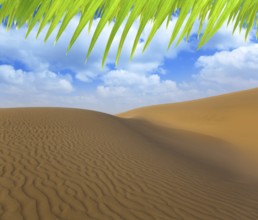 Desert sand dunes in Maspalomas Oasis Gran Canaria at Canary islands
