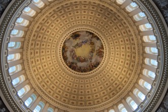 Canopy Fresco Of the US Capitol Rotunda in Washington DC, USA, Washington, USA, North America