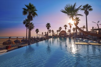 Resort pool in the beach with palm trees at sunrise