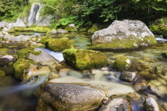 Creek and little waterfall in the Ligurian Alps, during summer season