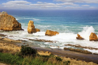 Storm waves break on the coastal rocks. Snow-white sea foam glistens in the dim autumn sun. Playa