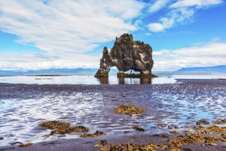 Stone mammoth Iceland. Hvitserkur picturesque rocks during low tide at sunset
