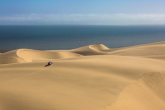 Gorgeous and dangerous jeep - safari through the huge sand dunes on the ocean coast. The concept of