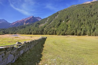 Scenic farm fields blocked by the stone fence. Shadow of the low fence beautifully lie on the grass