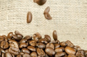 Coffee beans closeup on burlap