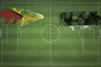 Guyana vs Estonia Soccer Match, national colors, national flags, soccer field, football game,