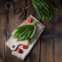 Allium ursinum fresh wild garlic with many valuable vitamins