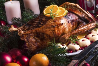 Christmas duck