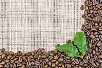 Frame of black coffee beans with leaves on brown coarse woven fabric