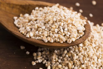 Barley groats on wooden spoon