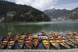 Boats lake of sattal, nainital, uttarakhand, india, asia