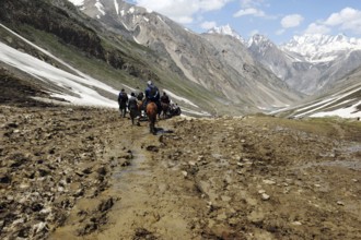 Pilgrim pabibal to panchtarni, amarnath yatra, Jammu Kashmir, India, Asia
