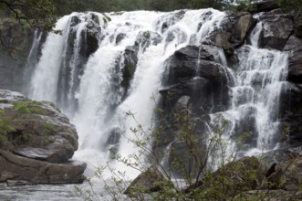 A Thoovanam waterfall over the rocks in tremendous speed Munnar Kerala India Asia