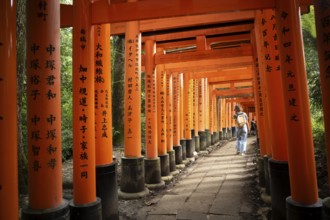 Fushimi Inari-Taisha, Fushimi, Kyoto, Japan, Asia