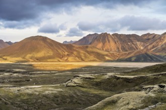 Evening miking in the highlands of Iceland, taken near the highland valley Landmannalaugar in