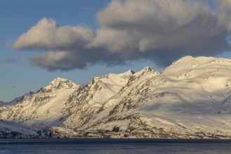 Kvayola coast, Troms, Norway, Europe