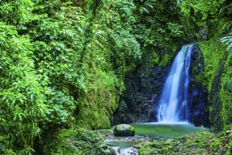 A view of Seven Sisters Waterfalls in the jungle on Grenada