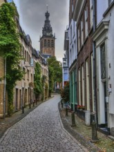 Picturesque cobbled street in the city with a view of the church tower and green surroundings,