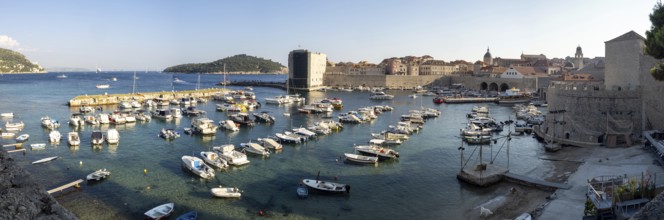 Boats in the old harbour, panoramic view, Dubrovnik, Dalmatia, Croatia, Europe